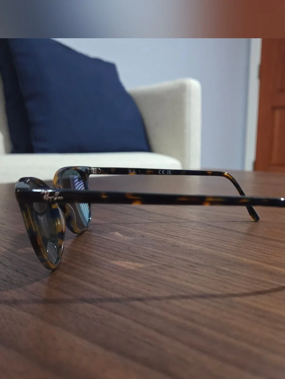 Ray-Ban ELLIOT Sunglasses 🕶️